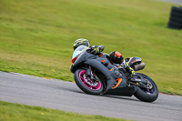 PJ-Motorsport-2019;anglesey-no-limits-trackday;anglesey-photographs;anglesey-trackday-photographs;enduro-digital-images;event-digital-images;eventdigitalimages;no-limits-trackdays;peter-wileman-photography;racing-digital-images;trac-mon;trackday-digital-images;trackday-photos;ty-croes